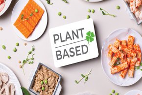 ก้าวต่อไปของอาหารจากพืชสู่ความยั่งยืนในอนาคต The Next Step in Plant-based Food for a Sustainable Future