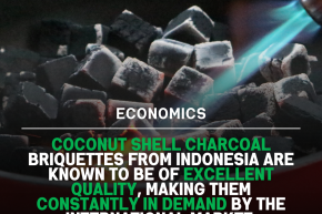 Global Demand Spurs Surge in Coconut Charcoal Briquettes Prices