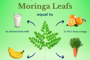 Unveiling the Potent Power of Moringa Nutrition