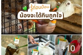 โซนให้อาหารสัตว์ที่ ทำฟาร์มดี บอกเลยว่าน่ารักเกินต้าน
