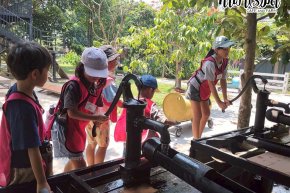 โรงเรียนสอนภาษาพลินปัญญา 3 เมษายน 2569