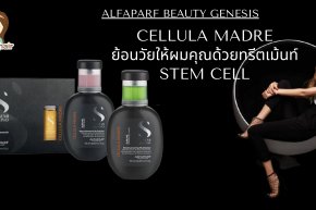 Alfaparf Beauty Genesis Cellula Madre 