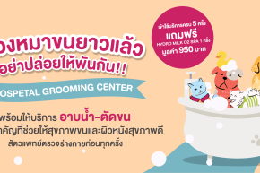ใช้บริการอาบน้ำตัดขน ครบ 5 ครั้ง แถมฟรี  Hydro Milk O2 Spa 1 ครั้ง
