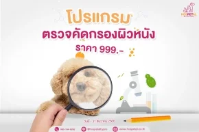 โปรแกรมคัดกรองโรคผิวหนังสุนัขแมว