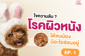  EP.1: ไขความลับ ใต้ขนน้องที่มีปัญหาโรคผิวหนัง มีอะไรซ่อนอยู่?