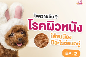  EP.2: ไขความลับ ใต้ขนน้องที่มีปัญหาโรคผิวหนัง มีอะไรซ่อนอยู่?