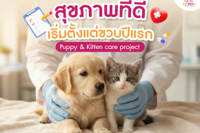 โรงพยาบาลสัตว์ HOSPETAL By PRS Center