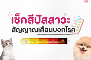 เช็คสีฉี่หมาแมว