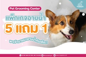 โปรโมชั่นอาบน้ำ 5 แถม 1