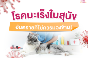 สุนัขเป็นมะเร็ง