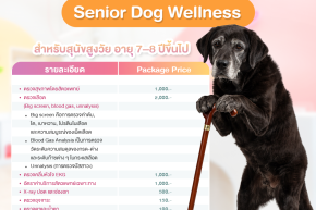 โรงพยาบาลสัตว์ทองหล่อ Hospetal