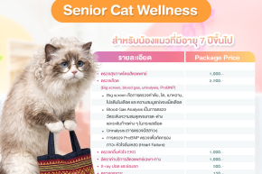 ตรวจสุขภาพแมวโรงพยาบาลสัตว์ hospetal by prs center