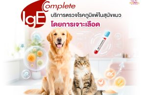  โรงพยาบาลสัตว์โรคผิวหนังใกล้ฉัน พระราม 9