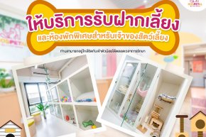 โรงแรมแมว โรงแรมสุนัข Hospetal By prs center