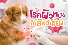 โรคผิวหนังในสัตว์เลี้ยง -โรงพยาบาลสัตว์ hospetal by prs center