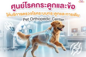 ศูนย์โรคกระดูกและข้อสุนัขแมว - โรงพยาบาลสัตว์ HOSPETAL By PRS Center