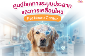 ศูนย์โรคทางระบบประสาทและการเคลื่อนไหว -โรงพยาบาลสัตว์ hospetal by prs center