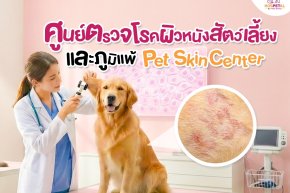  ศูนย์ตรวจโรคผิวหนังสัตว์เลี้ยงและภูมิแพ้ Pet Skin Center - โรงพยาบาลสัตว์ hospetal by prs centerโรงพยาบาลสัตว์ hospetal by prs center