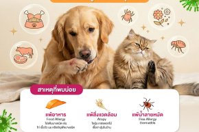 รงพยาบาลสัตว์ HOSPETAL By PRS Center ถนนพระราม 