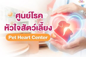 โรคหัวใจสุนัข โณคหัวใจแมว รักษา