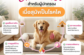 Checklist สำหรับเจ้าของเมื่อสุนัขเป็นโรคไต