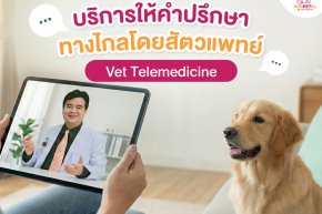 บริการให้คำปรึกษาออนไลน์โดยสัตวแพทย์ เพื่อช่วยประเมินสถานการณ์เบื้องต้นว่าอาการของสัตว์เลี้ยงมีความน่ากังวลแค่ไหน และควรดูแลอย่างไร ระหว่างการเตรียมตัวเดินทางมาพบสัตวแพทย์