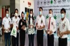 UMT University is embarking on cannabis research