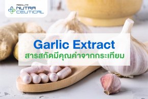Garlic Extract  สารสกัดมีคุณค่าจากกระเทียม