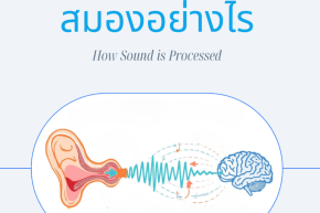 การได้ยินสำคัญต่อสมองอย่างไร