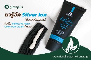 มารู้จัก Silver Ion (ซิลเวอร์ไอออน) ที่อยู่ใน Reflective Magic Color Hair Cream กันเถอะ