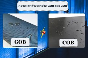ความแตกต่างระหว่าง GOB และ COB 