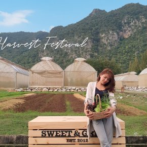 Harvest Festival ปีที่ 3