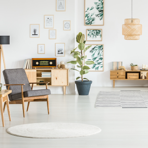 Plant for Decoration