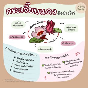 กระเจี๊ยบแดง ดีอย่างไร?