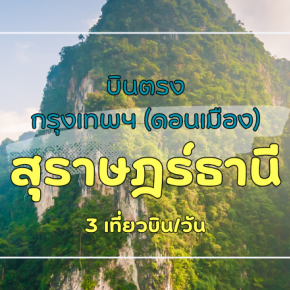 เที่ยวบิน (ดอนเมือง-สุราษฎ์ธานี)