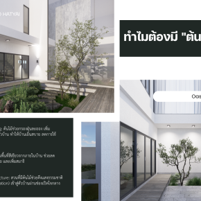 Private Inner Courtyard with Tree "สวนใจกลางบ้าน"