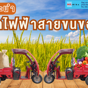 แนะนำรถไฟฟ้าสายขนของ