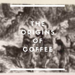 Coffee 101: ต้นกำเนิดของกาแฟแต่ละ Origins