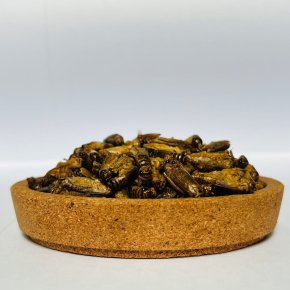 Will eating insects save the planet?