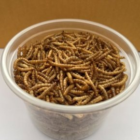 Dried Mealworm Nutrition Value