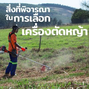 สิ่งที่พิจารณาในการเลือกเครื่องตัดหญ้า