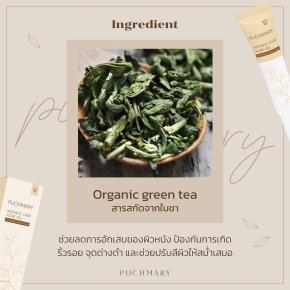 Organic Green Tea