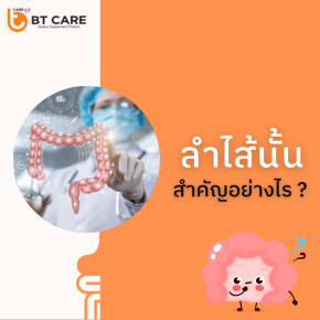 ลำไส้นั้น สำคัญอย่างไร?