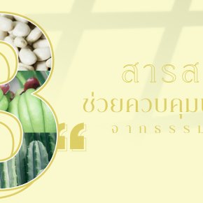 3 สารสกัดช่วยควบคุมน้ำหนัก