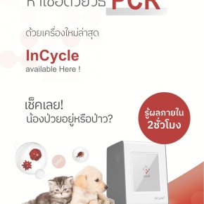 การตรวจสัตว์ป่วยด้วยเครื่อง PCR คือ