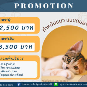 ทำหมันสัตว์เลี้ยง