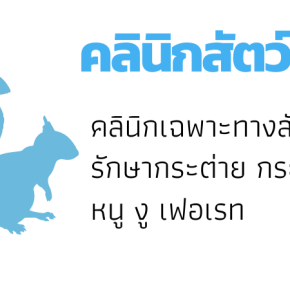 คลินิกสัตว์พิเศษ(Exotic Pets Clinic)