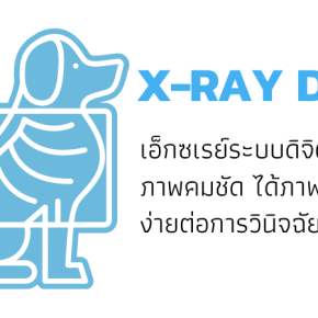 X-ray Digital