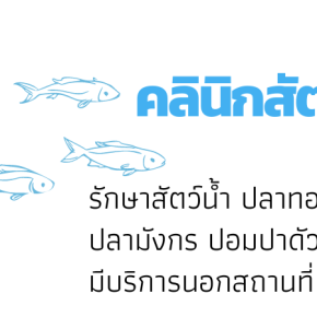 คลินิกสัตว์น้ำ(Aquatic Pets Clinic)