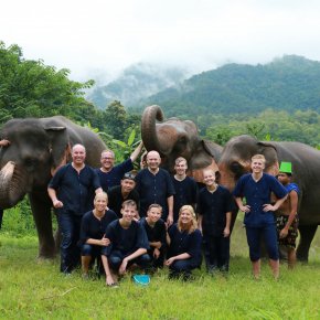 Half Day visit and Support at Eco Elephant Care